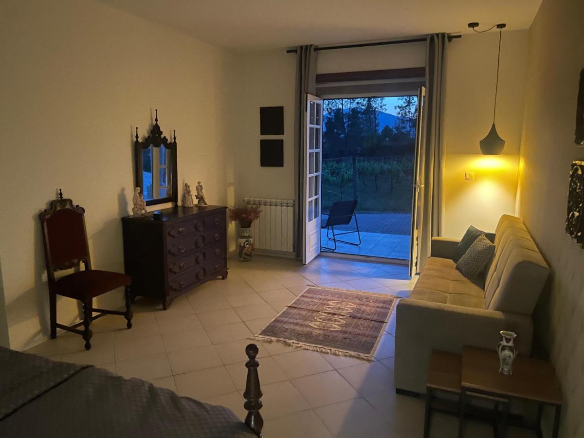 Quinta Da Paixao - Bed & Breakfast Pedraca Exteriör bild